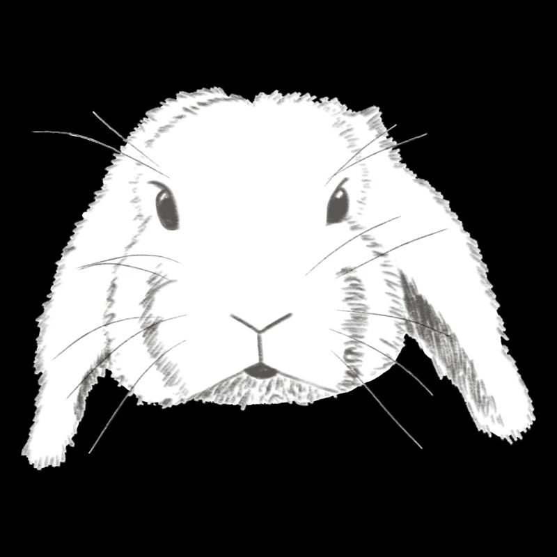 Bélier lapin dessin