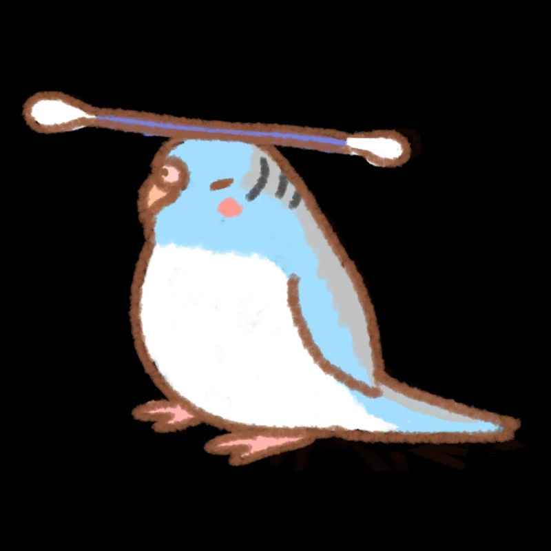 perruche avec qtip