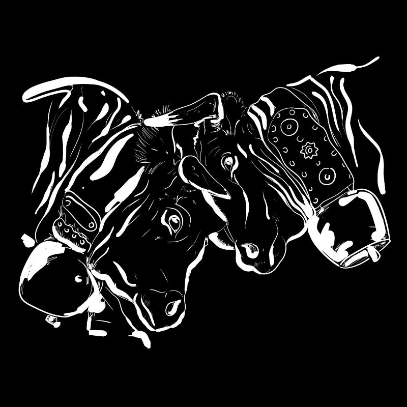 Vache d'hérens, eringer, combat de reines