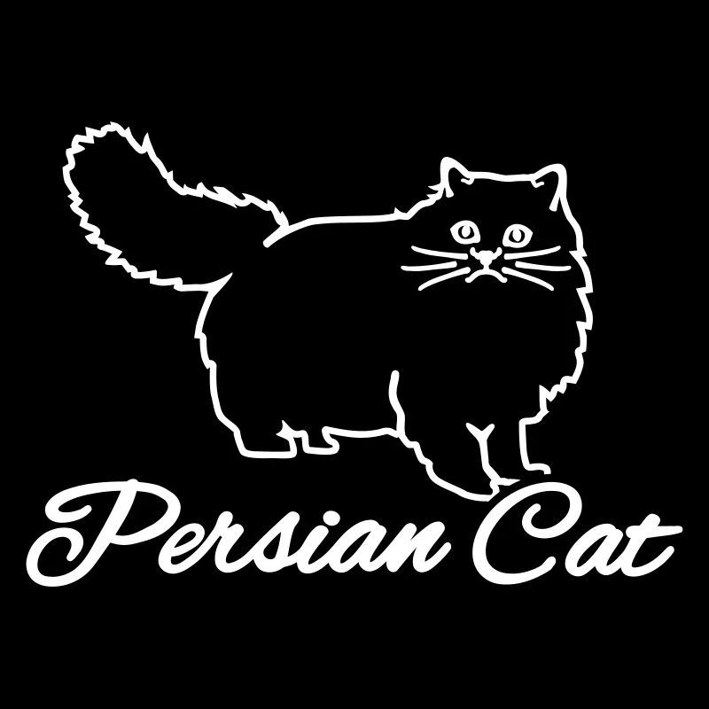 chat persan