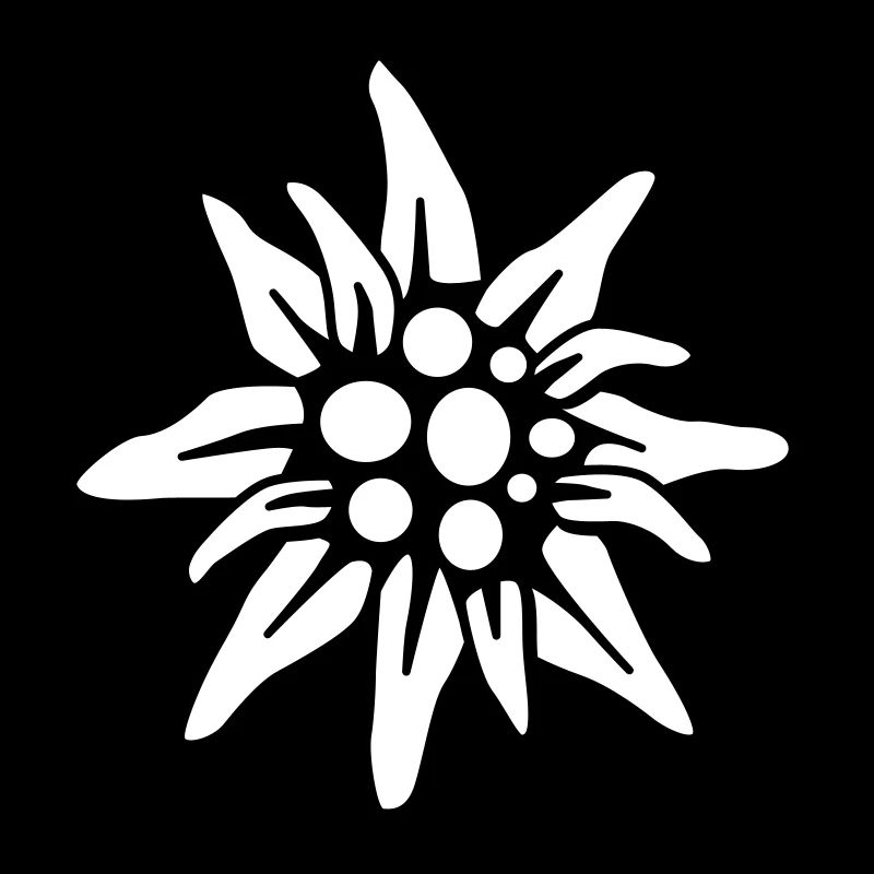 Edelweiss 2c klein