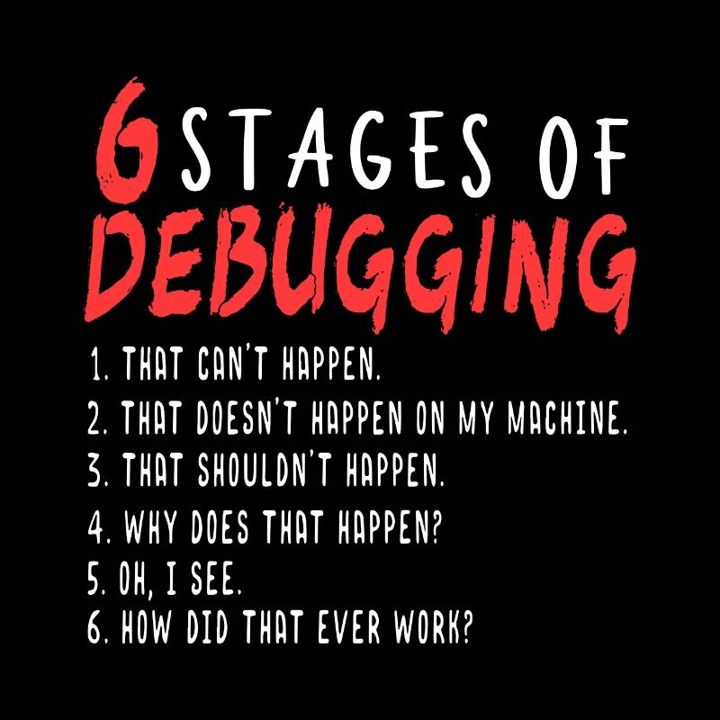 Debugging Definition Programmer I Troubleshooting