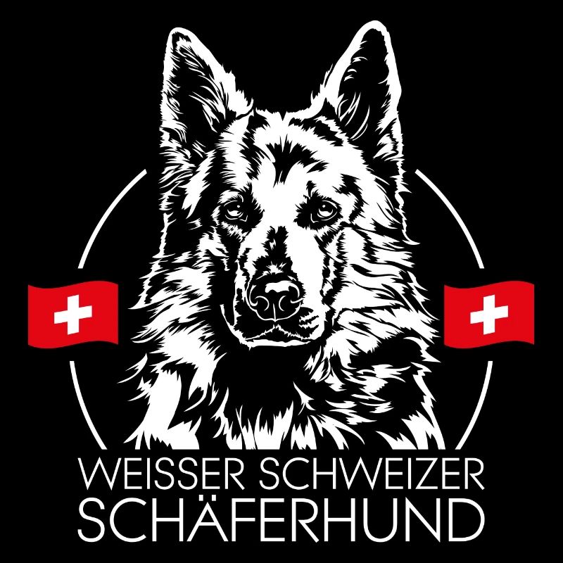 CHIEN DE BERGER SUISSE BLANC Chien Wilsigns