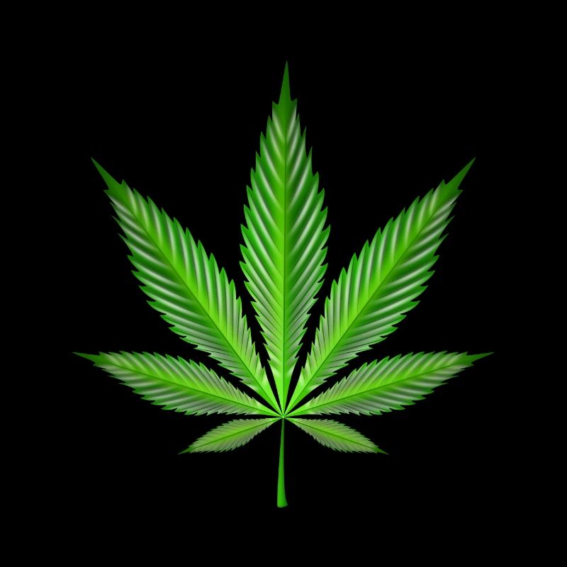 Cannabis leaf