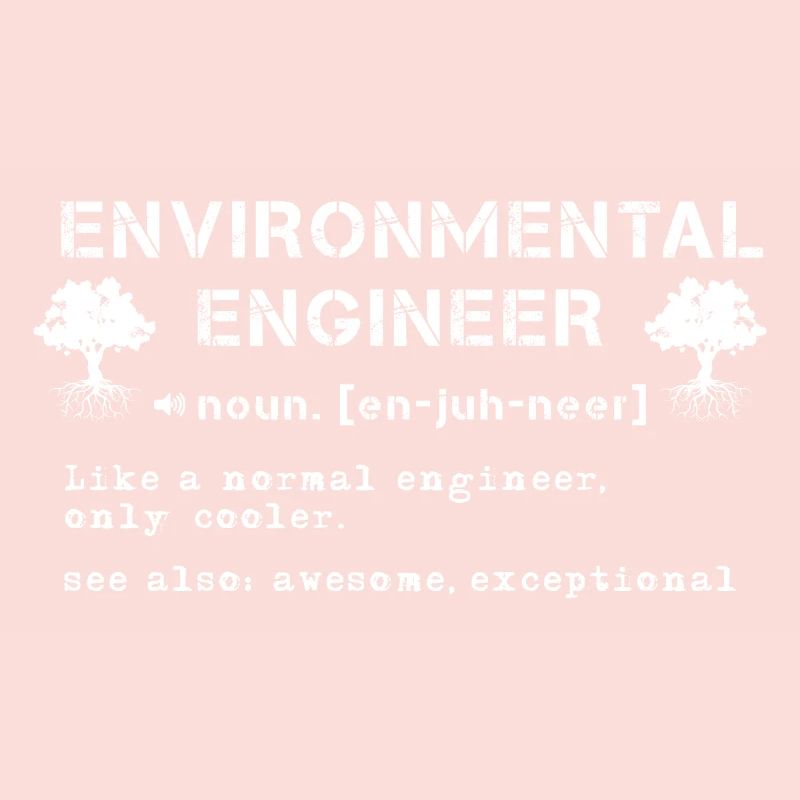 Environmental Engineer Definition