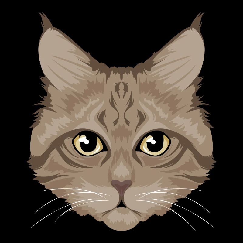 Chat / chat brun