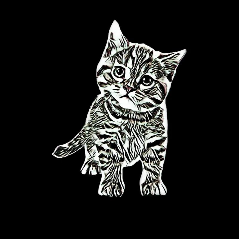Chatons
