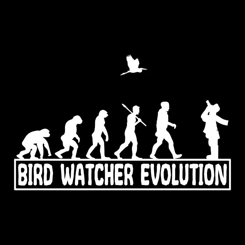 Ornithology Songbird Birds observe evolution