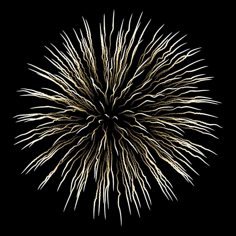Feu d’artifice de saule d’or
