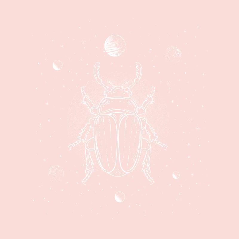 Coccinelle dans l’espace - Graphiques de lignes minimalistes