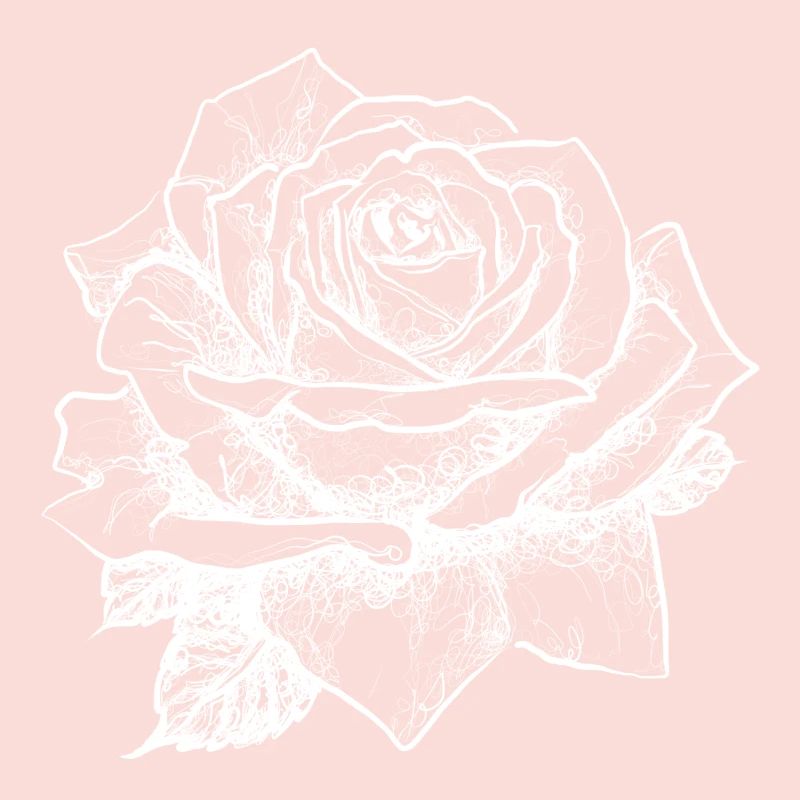 rose no2