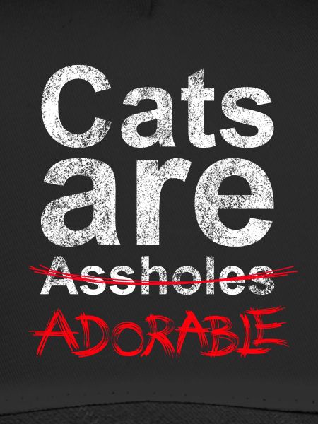 Cats are….