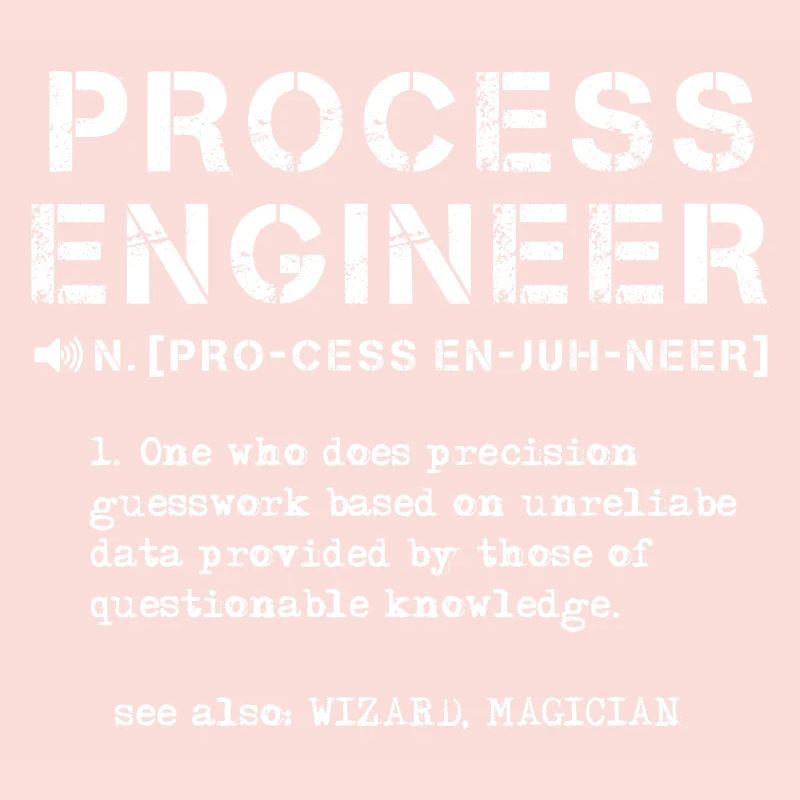 process engineer