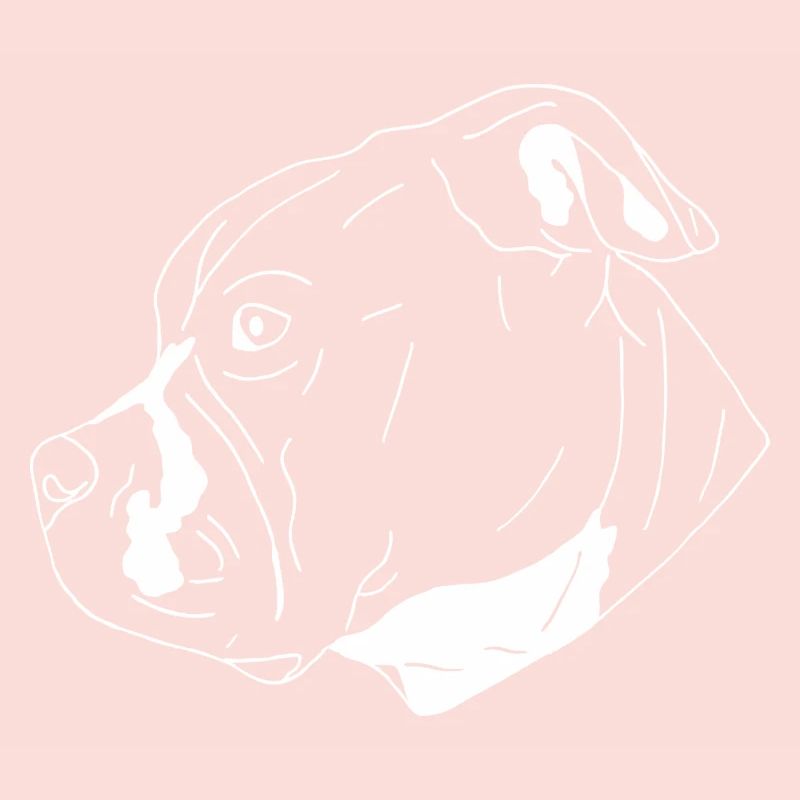 American Bully