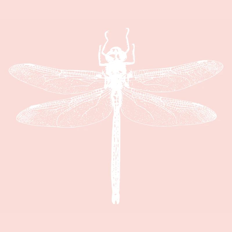 Libellule