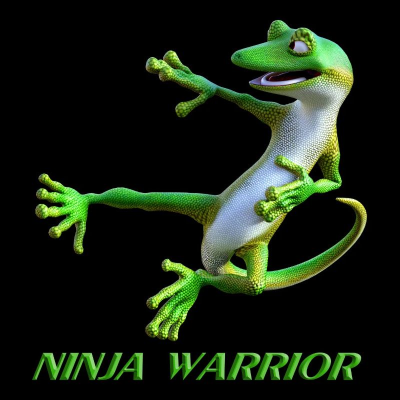 Guerrier Ninja