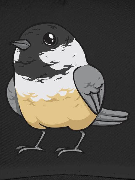 Bird Chickadee Bird Watching