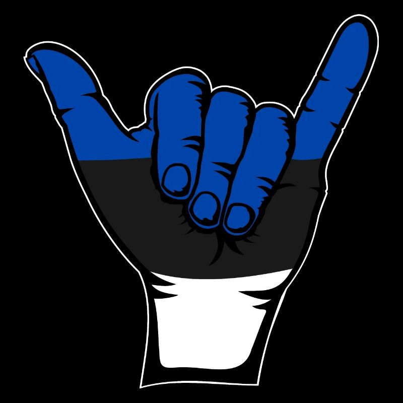 Estonie Drapeau Surf Symbole
