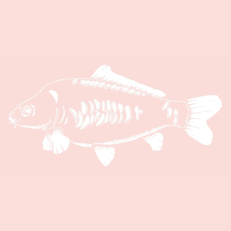 last litter - white carp - carp