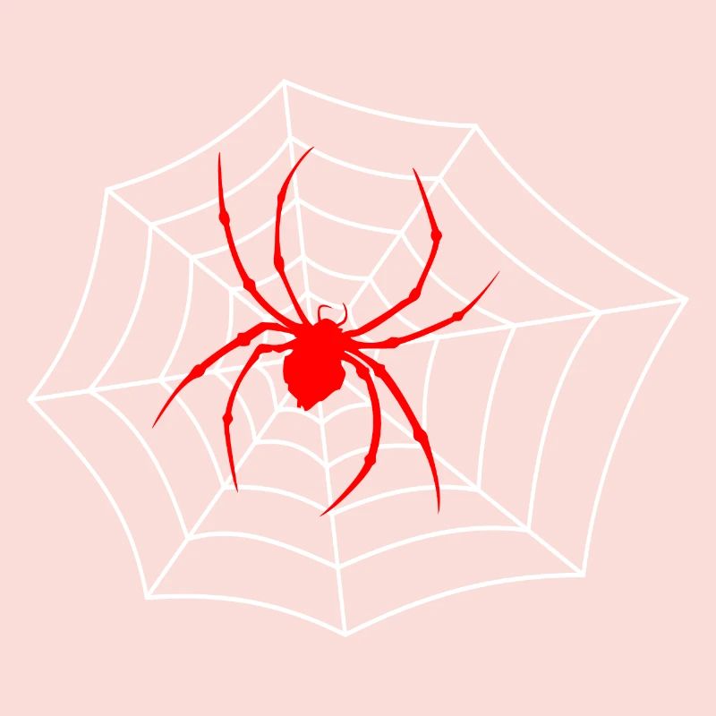 Araignée sur le web