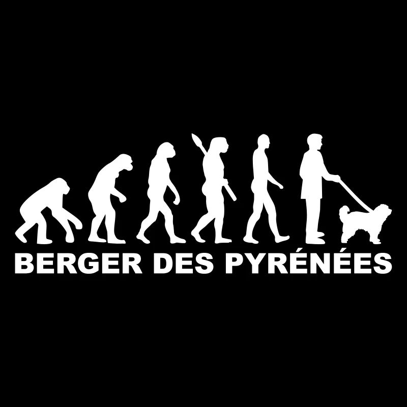 Berger des Pyrénées