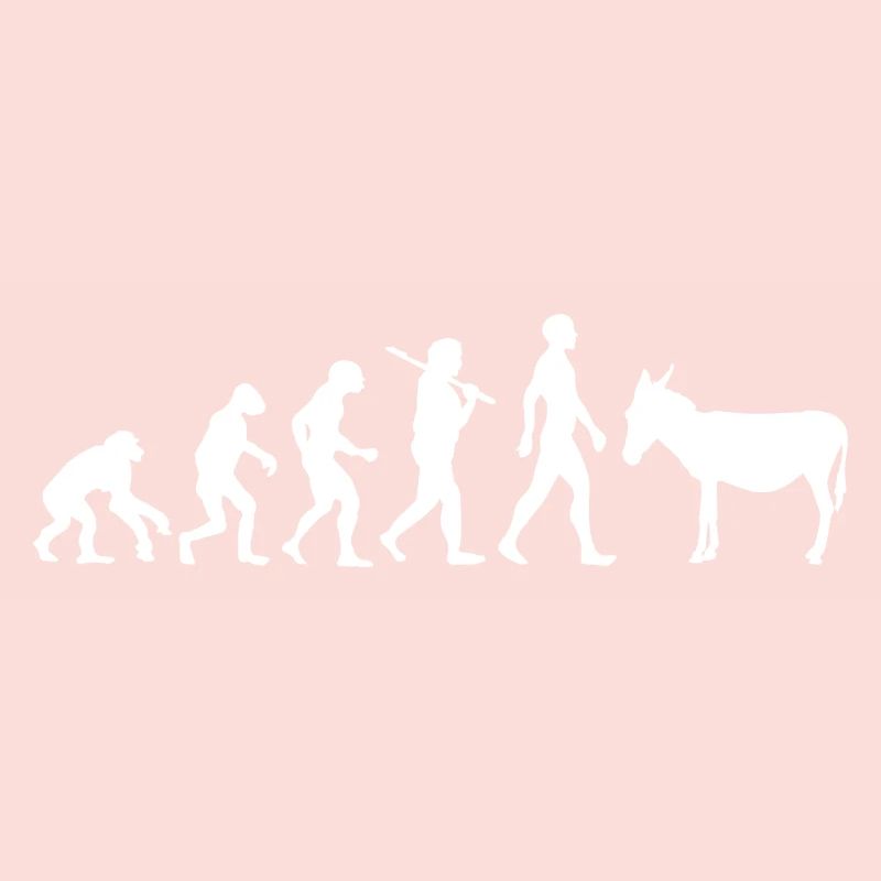 Evolution âne mule animal cadeau idée