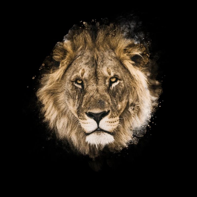 Inks lion face