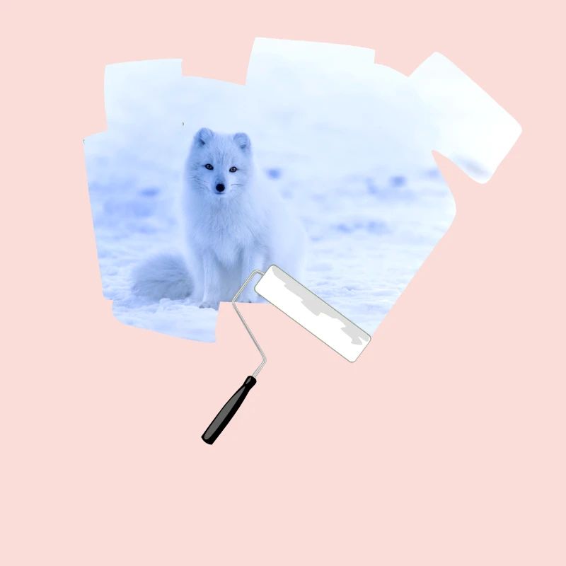 Farbroller Polarfuchs