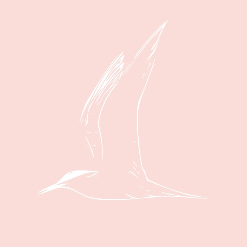 gull