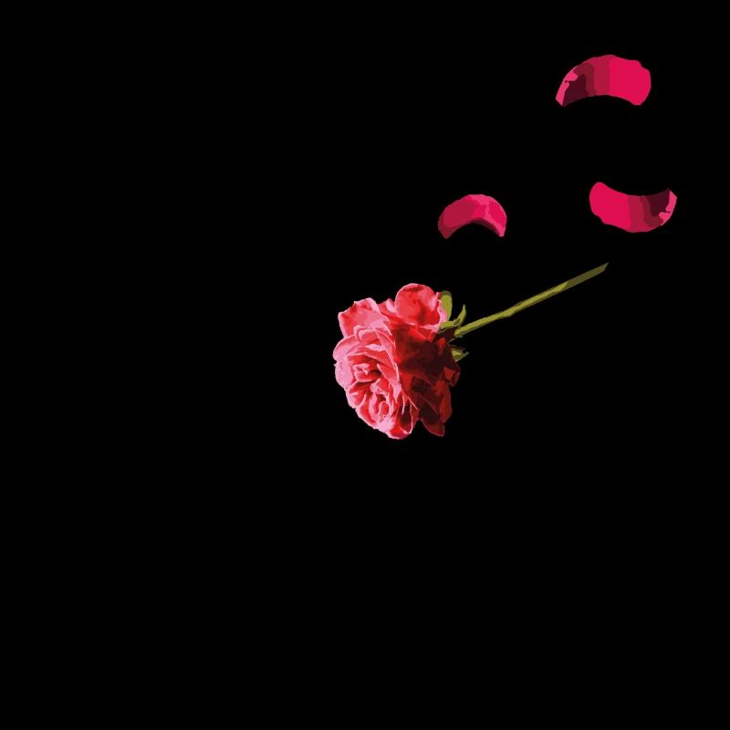Fallende Rose NiK