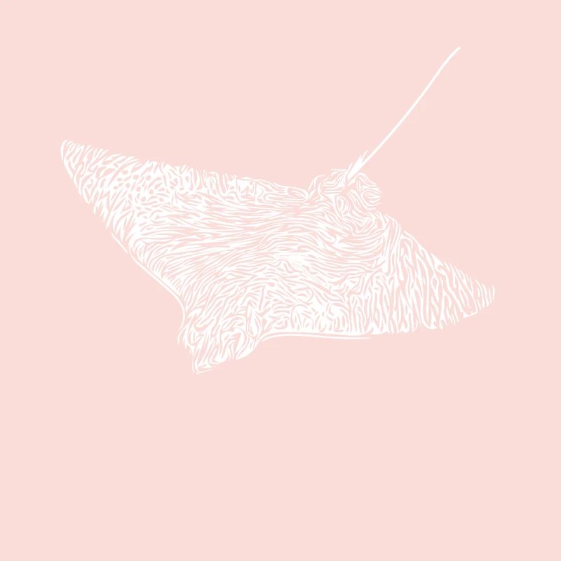 eagle rays