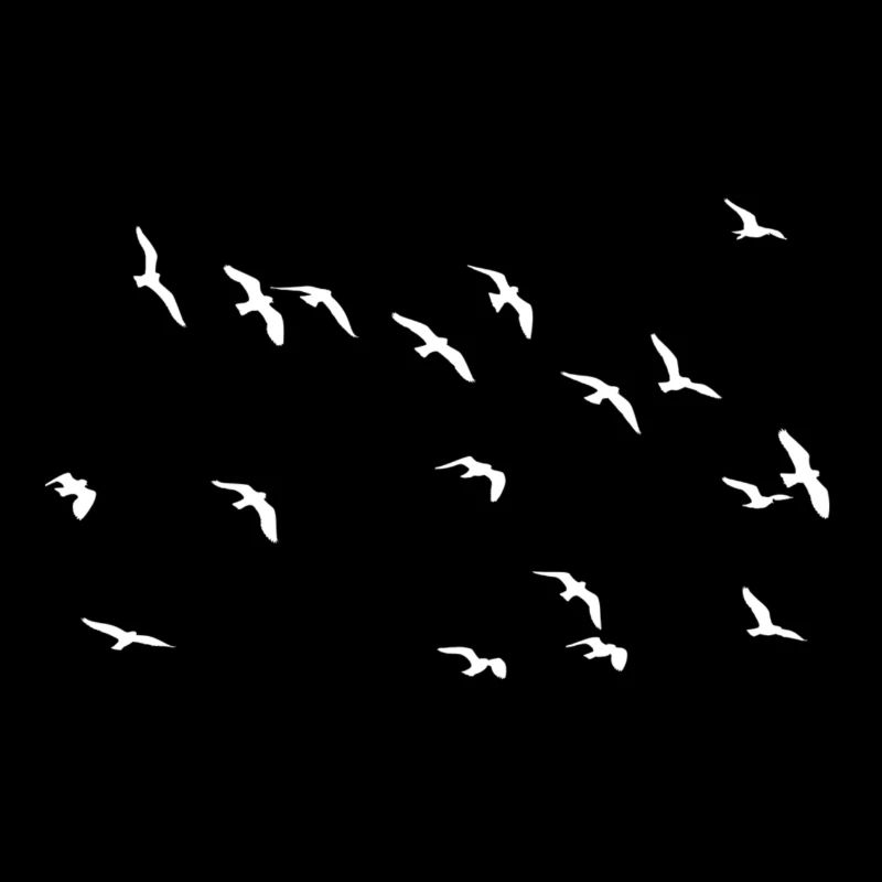 Essaim d’oiseaux