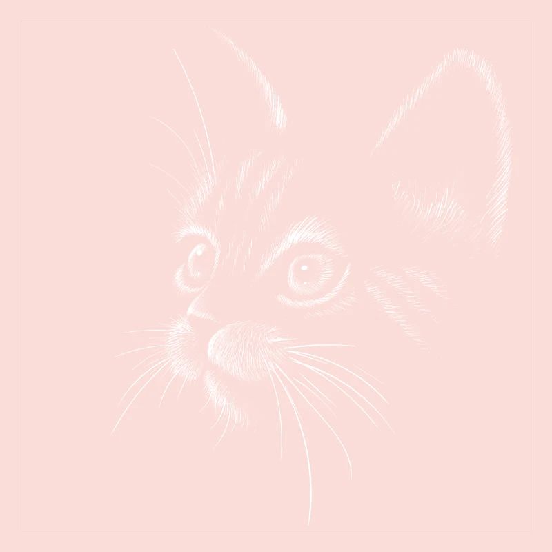 Chat visage de chat amant de chat chat dame