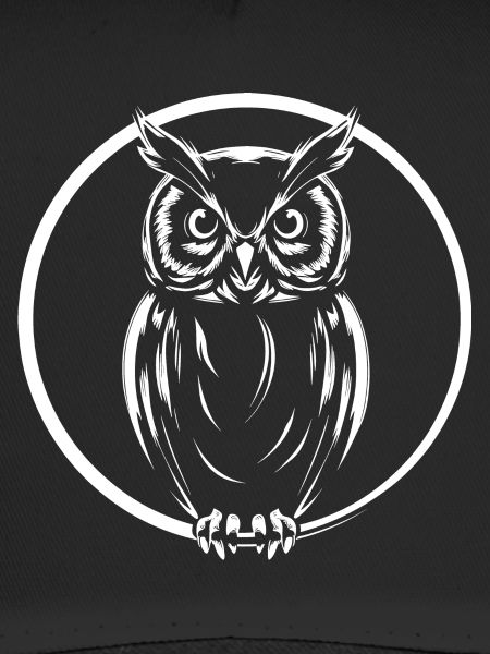 Owl Graphic Owl Graphic