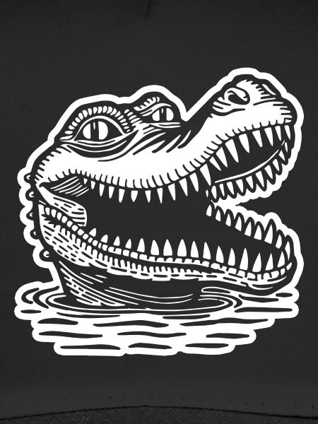 Crocodile Alligator