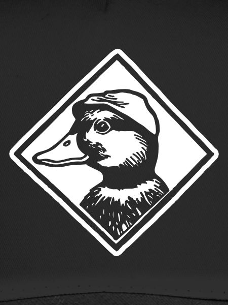 Canards