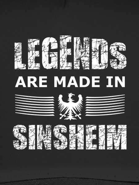 The Sinsheim fans