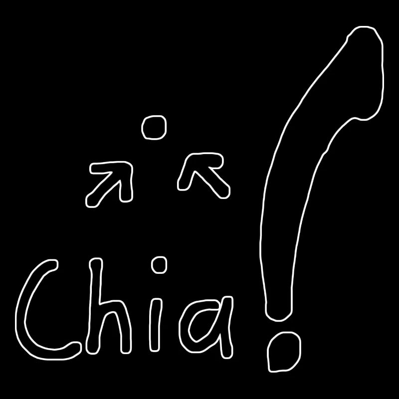 Chia Seeds