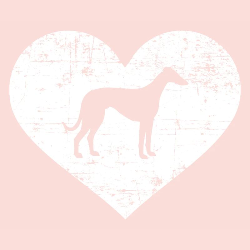 Whippet