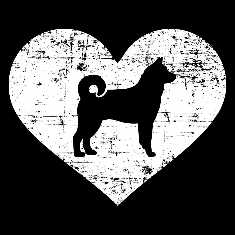 Norwegischer Elchhund