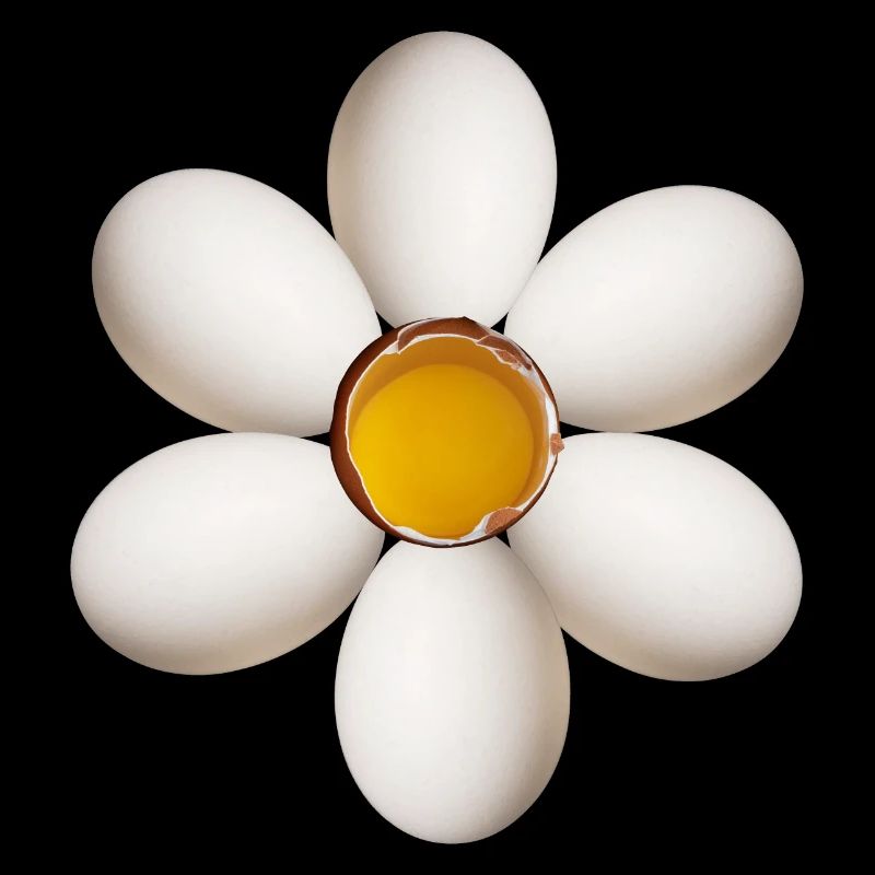 Fleur d’oeuf