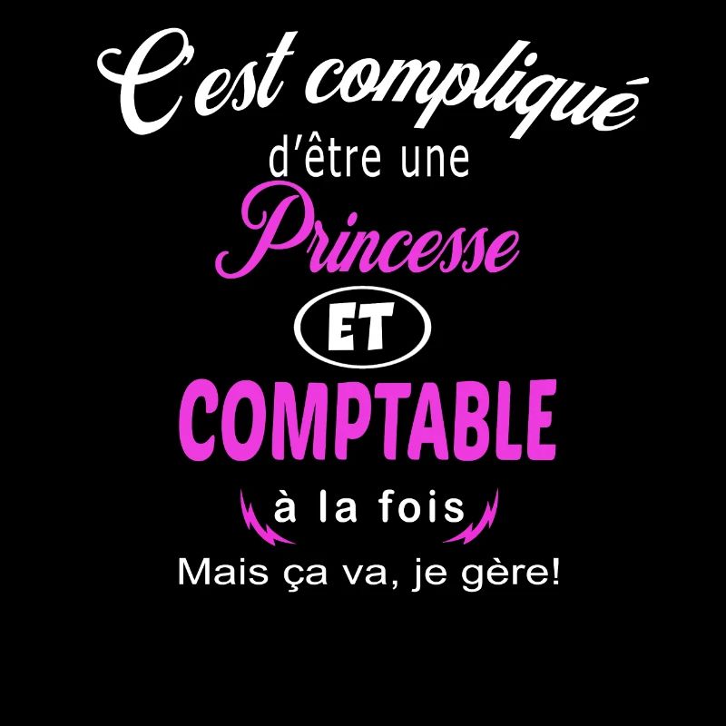 c'est compliqué princesse et comptable