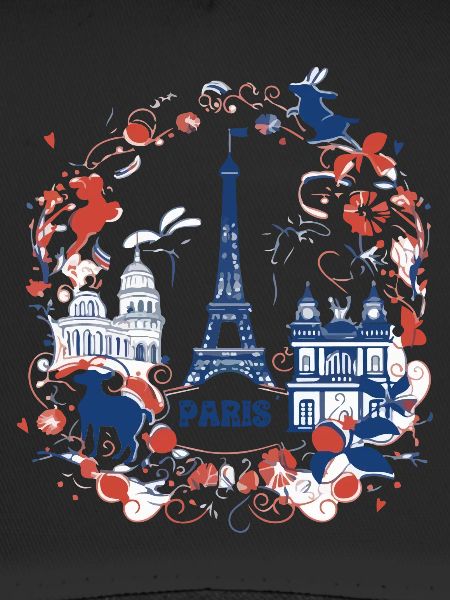 PARIS capital