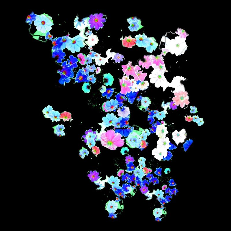 Pré, fleurs, fleurs, fleurs colorées