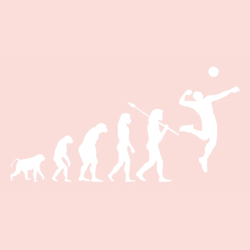 Evolution du volleyball