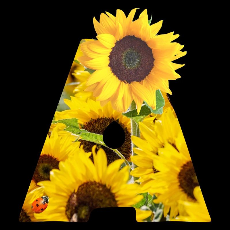 sunflowers a