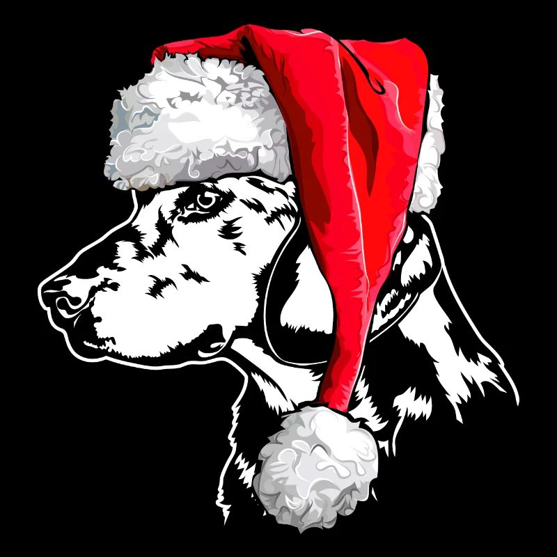 Santa ALPENLÄNDISCHE DACHSBRACKE Chiens de Noël