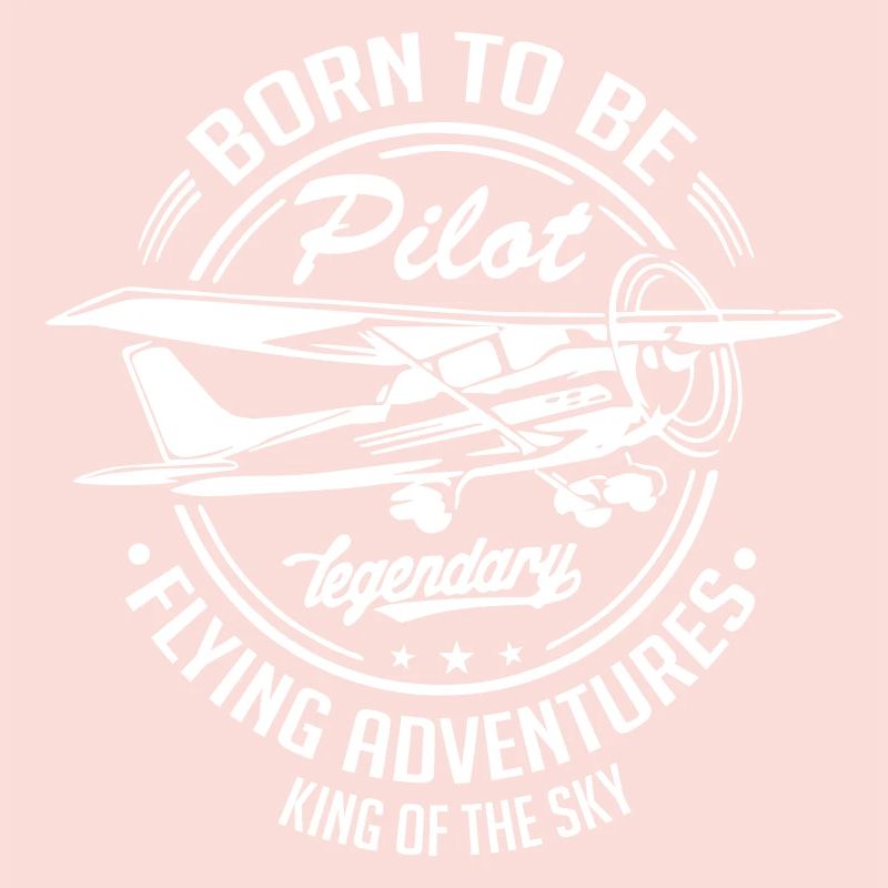 Jet d'avion pilote SKY