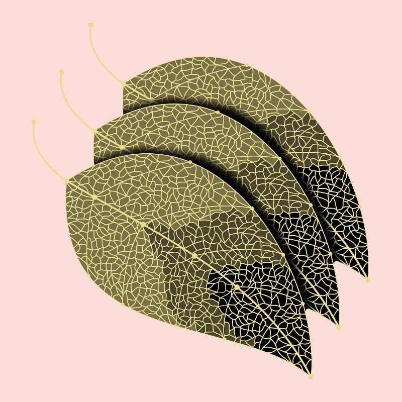 Feuilles décoratives