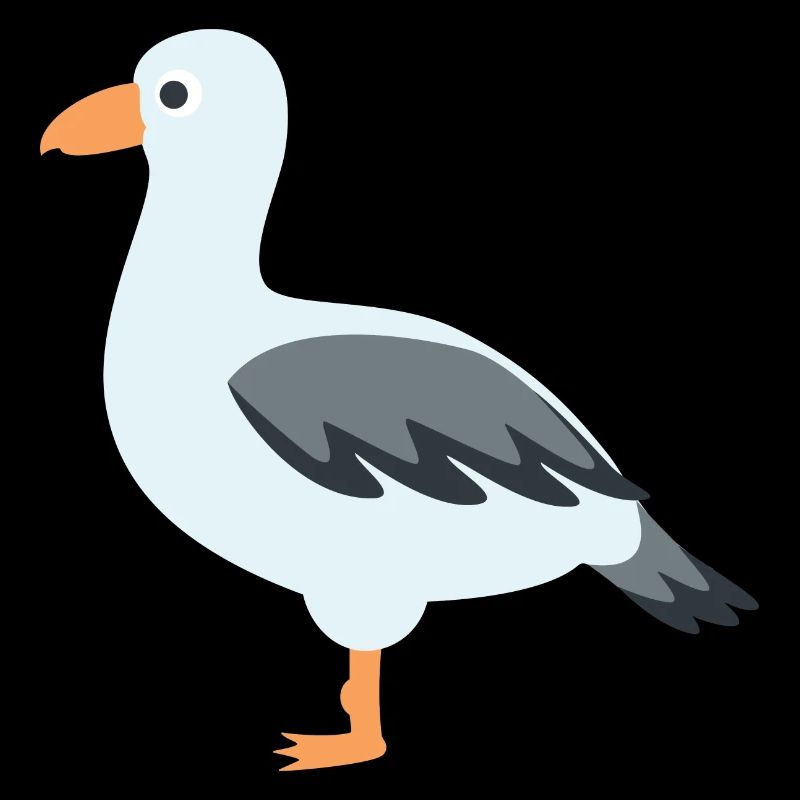 mouette